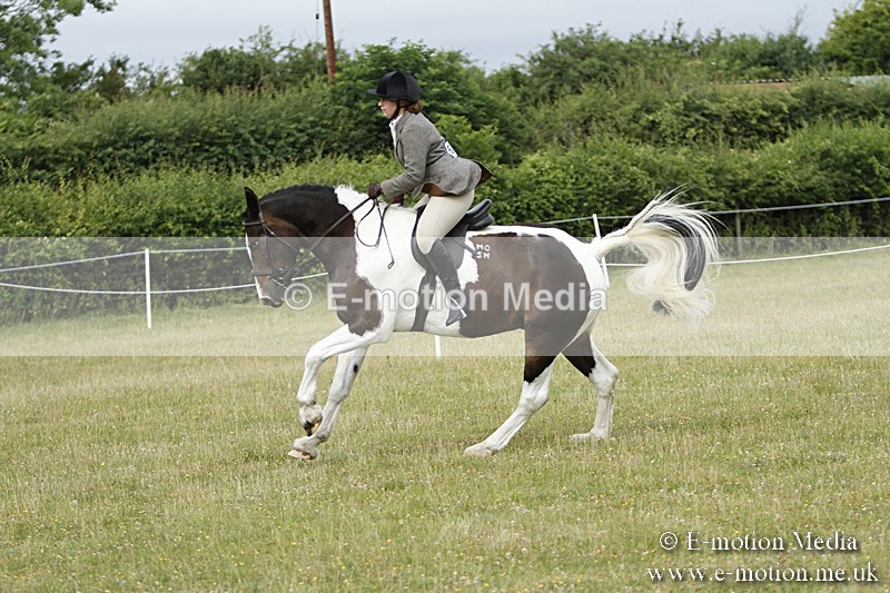 BVR160717-181 - Ring 3 BVRC Show 16/07/17