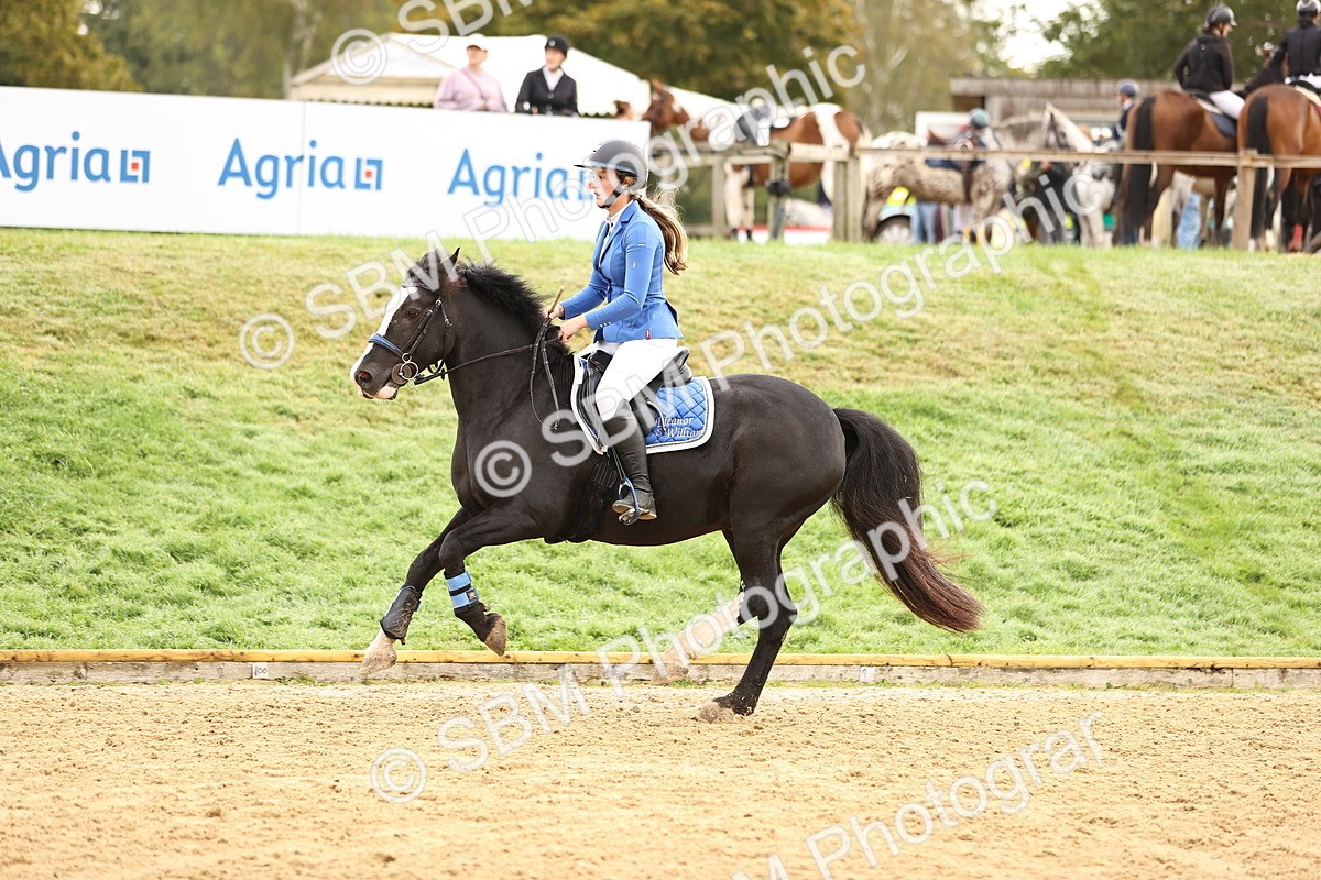 SBM_58260 - J41 - Grand Tour Horse & Pony 95cm