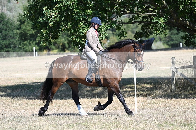 WJ7_3888 - Class 9 Mountain & Moorland Ridden