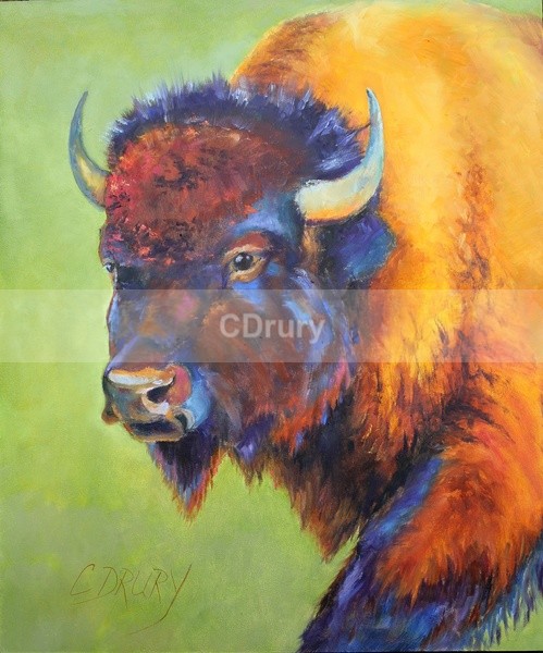 W04182 'Feeling Bold' - Colorful Critters
