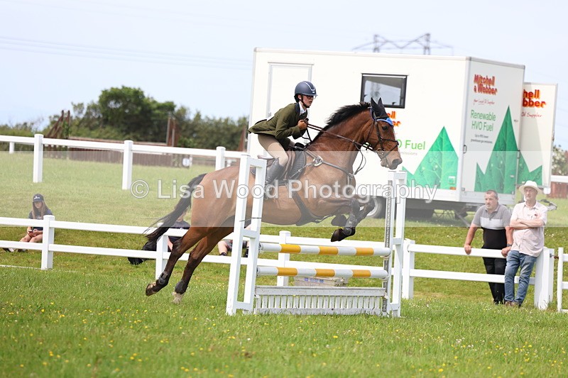 3E7A1626 - Class 13: Senior British Novice/90cm open