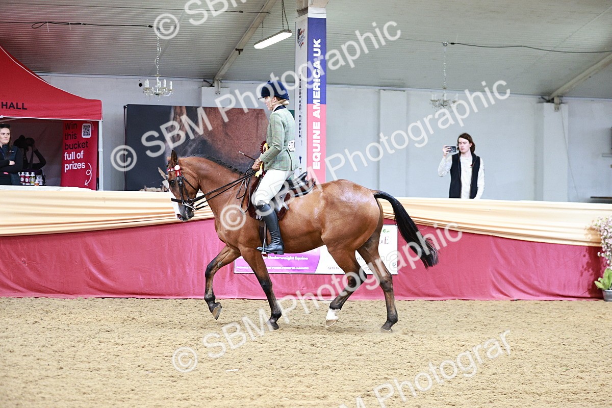 SBM_03721 - Class 6A Area Ridden Pre-Vet