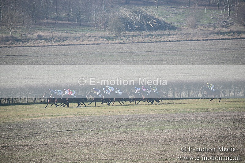 PtP 230219 84 - Vine & Craven Point-To-Point - Barbury 23/02/19