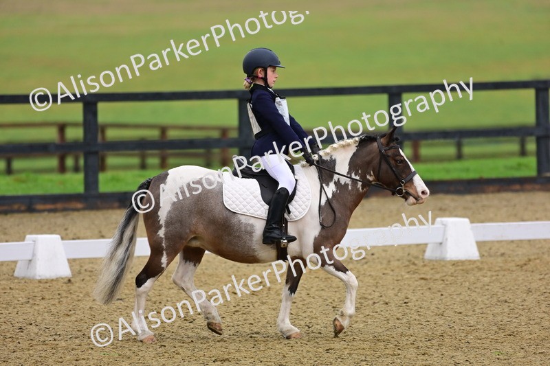 20260125-0638 - Class 9b - Walk Trot Unassisted