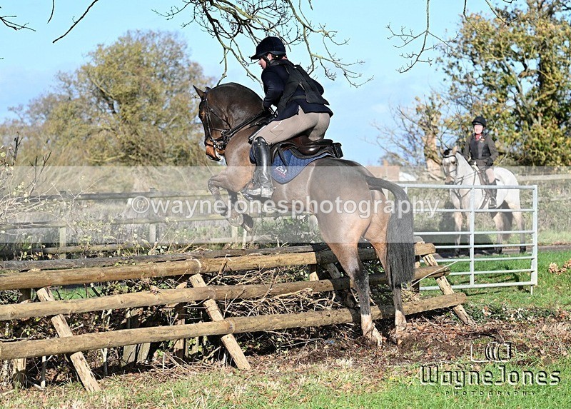 WJ7_4140 - Edited examples