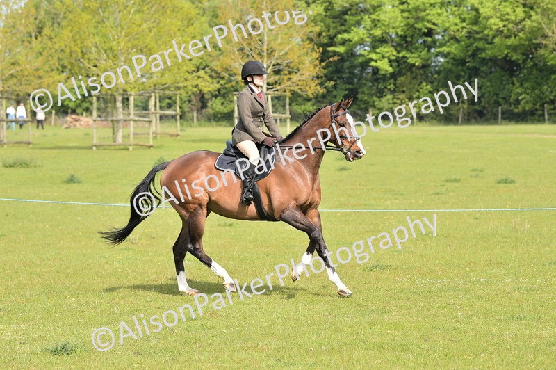 20260426-1129 - Class 19 - Retraining Of Racehorses