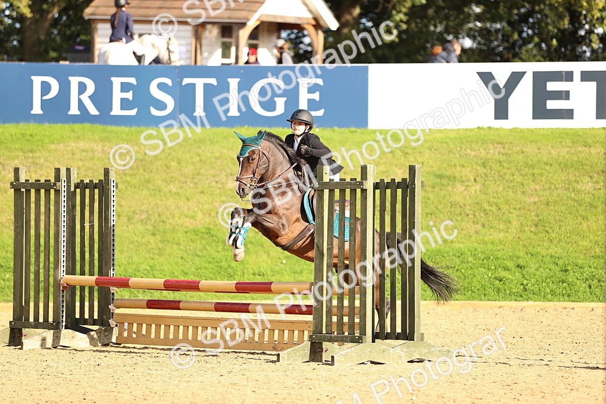 SBM_51536 - J10 - Junior Pony 75cm Championship