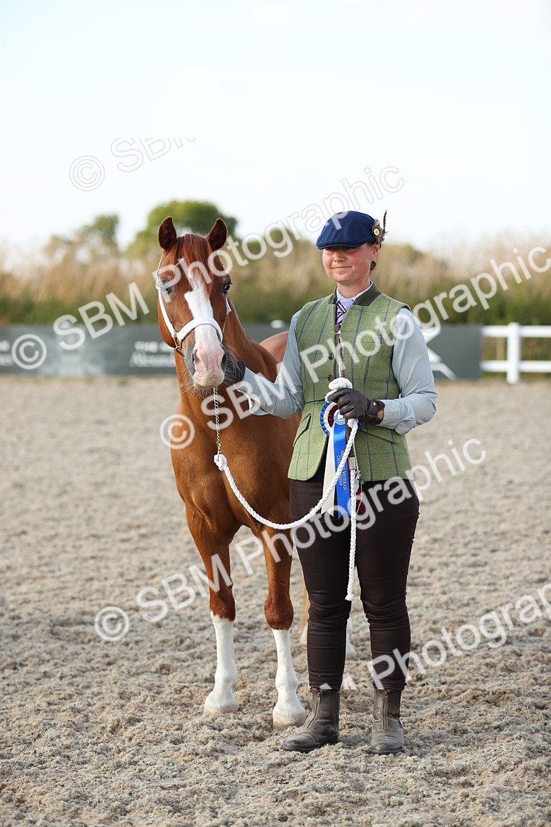 SBM_09088 - Class 29 IH Veteran Pony