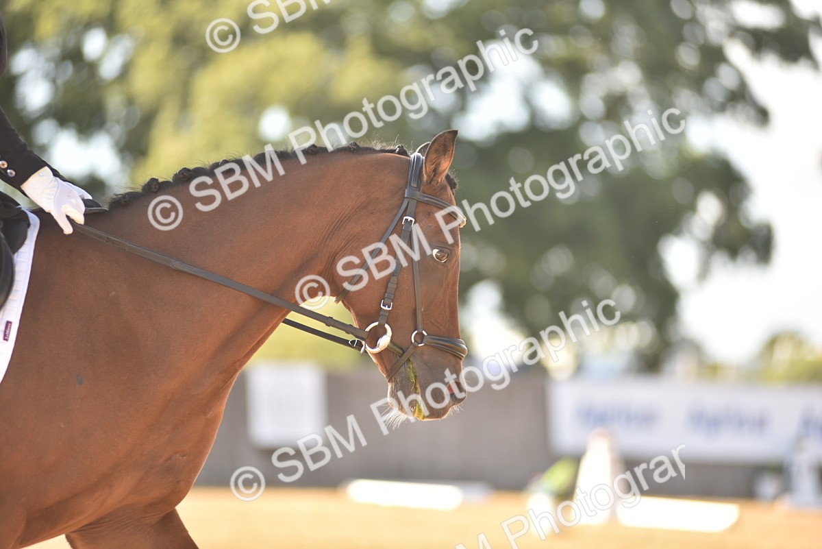 SBM_53258 - D24 - Junior Championship Prelim 3
