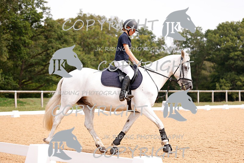 _R6A2475 - Dressage Morning