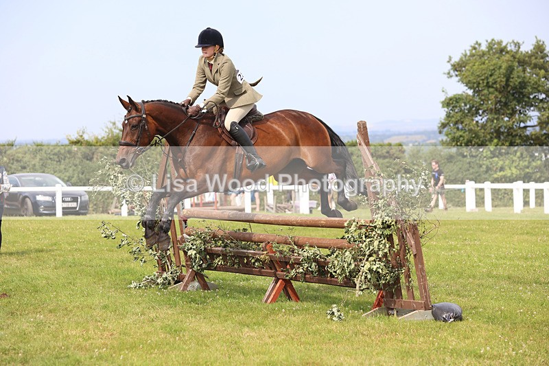 JPP_4070 - Class 24: Working Hunter 90cm