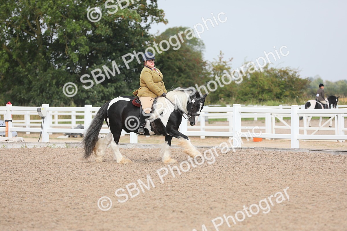 SBM_12690 - Class 307 Ridden Coloured Pony