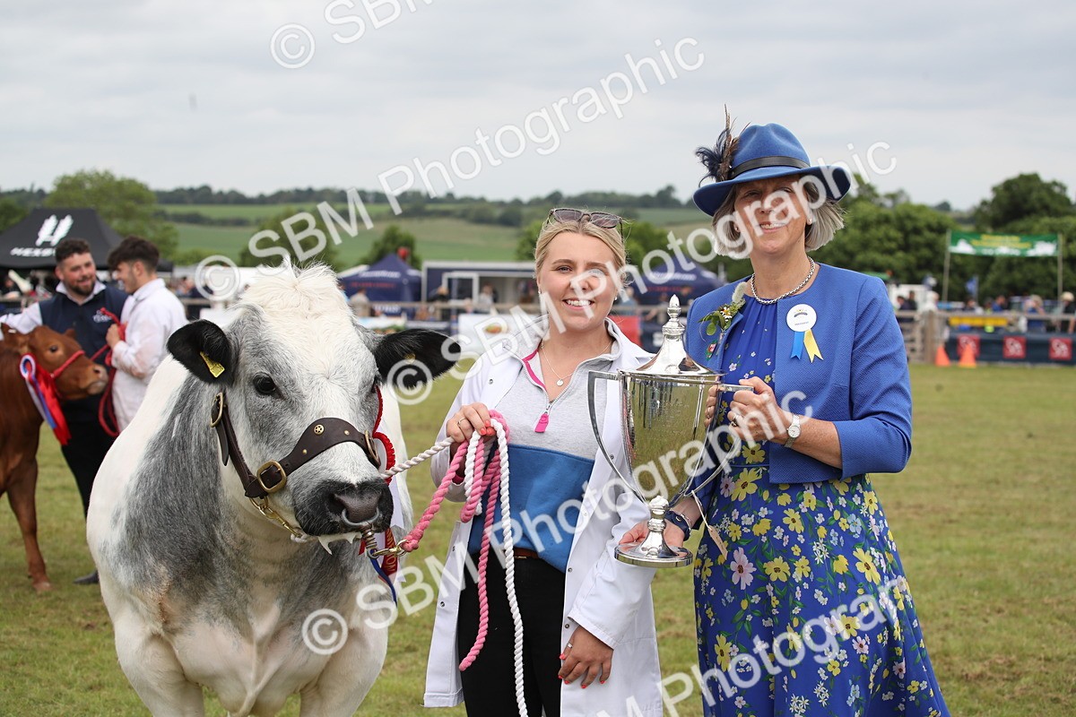 SBM_07927 - Grand Parade