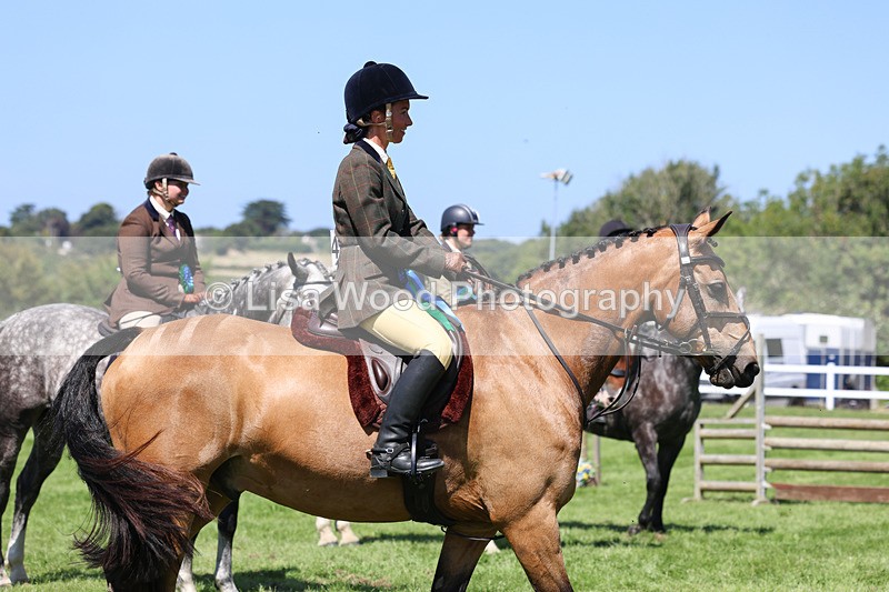 3E7A9287 - Working Hunter Championship