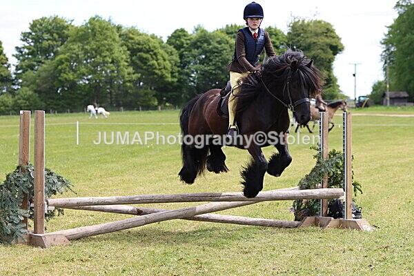 IMG_3258 - Working Hunter