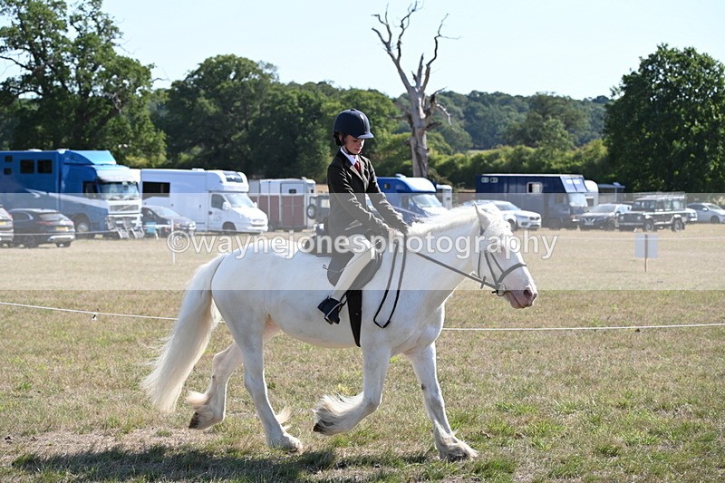 WJ6_7482 - Class 34 Judges Choice