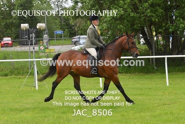 JAC_8506 - CLASS 3 BHS STYLE JUMPING