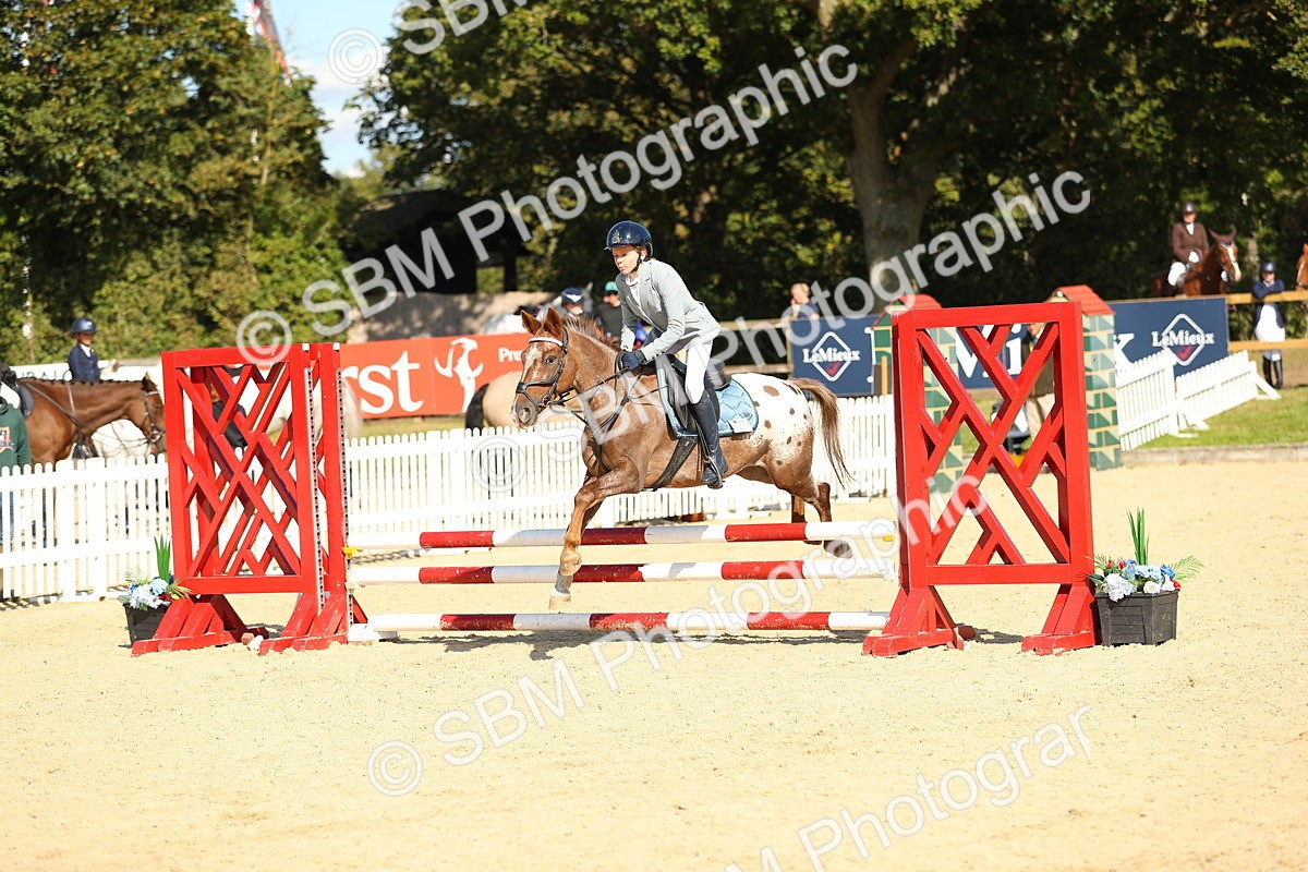 SBM_24329 - J45 - Accumulator 70 80cm