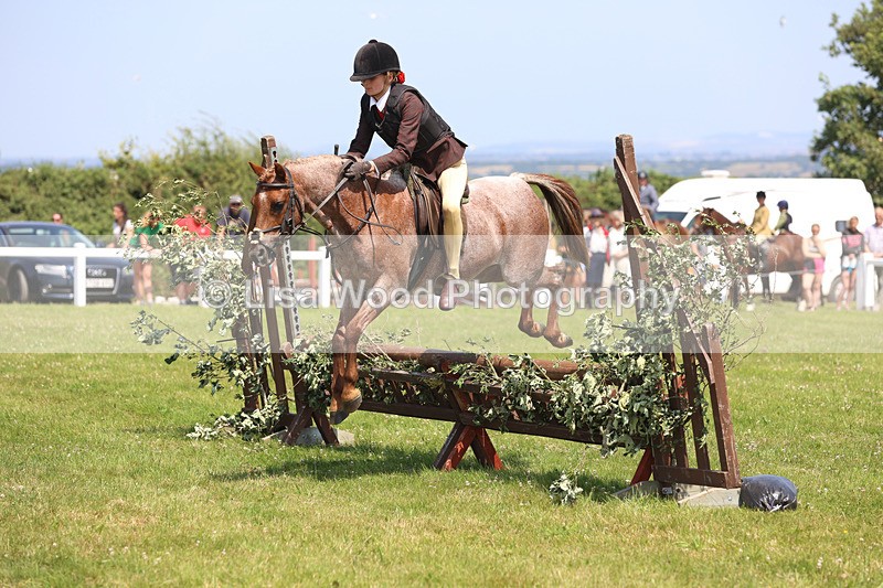 JPP_2965 - Class 22: Working Hunter 70cm