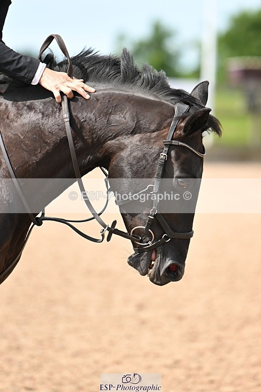 250611-101906-00075 - Cls 1 Brit Novice & 90cm Open