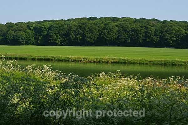 Raptor Watchpoint - Carburton Dam (Nottinghamshire) - England