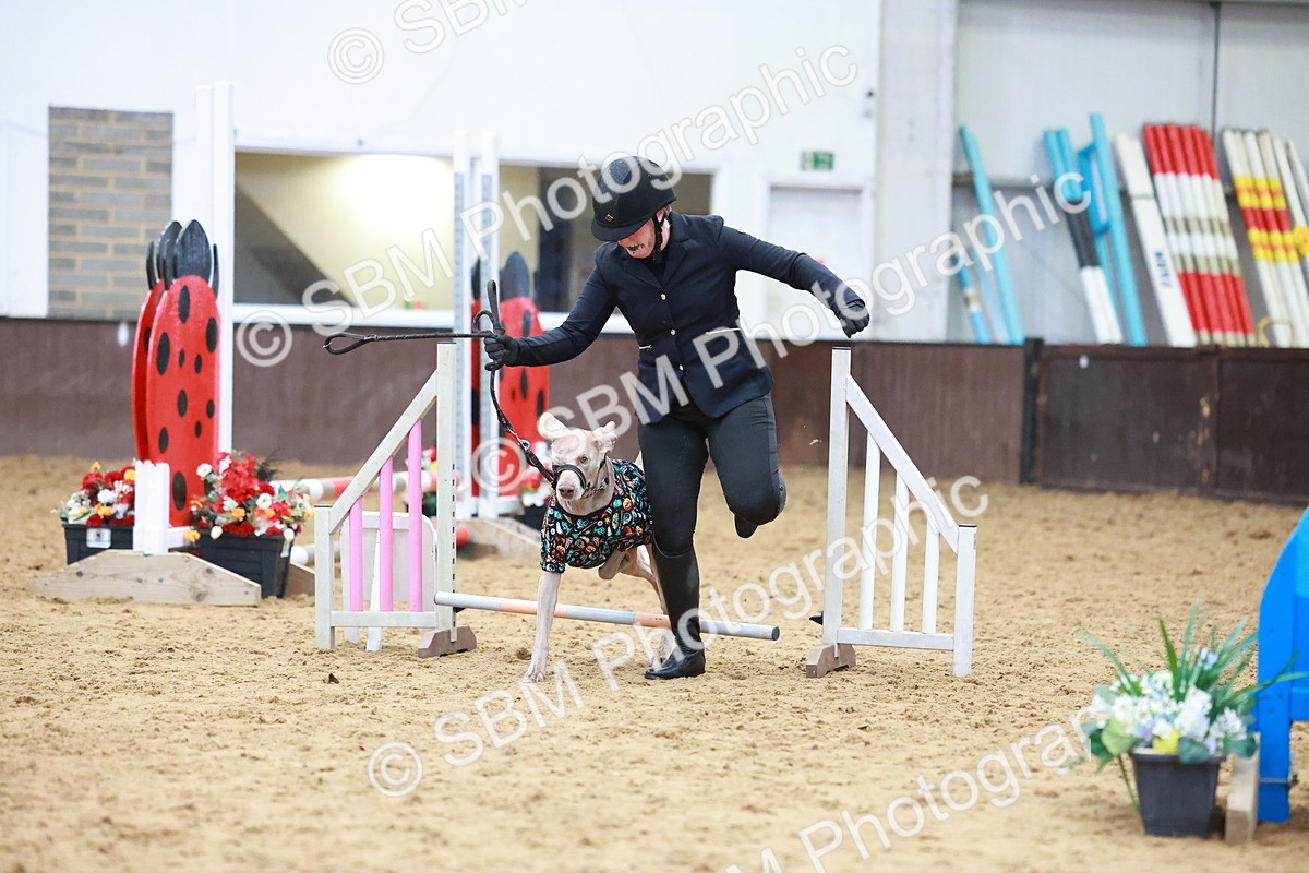 SBM_001749 - Class 3 - Horse & Hound (60cm)