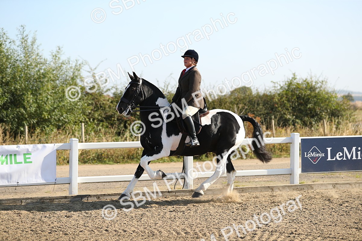 SBM_01150 - Class 42 Ridden Veteran