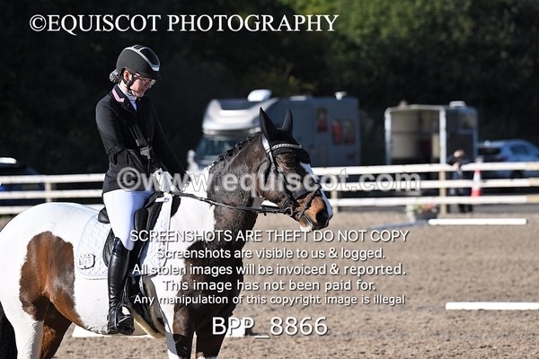 BPP_8866 - LONG ARENA