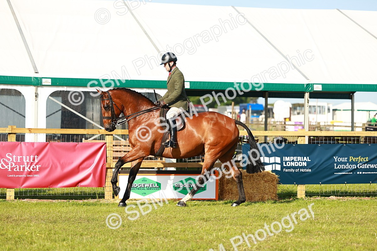 SBM_10766 - Class 66-69 - RIHS Ridden Hunters Inc Small Hunter
