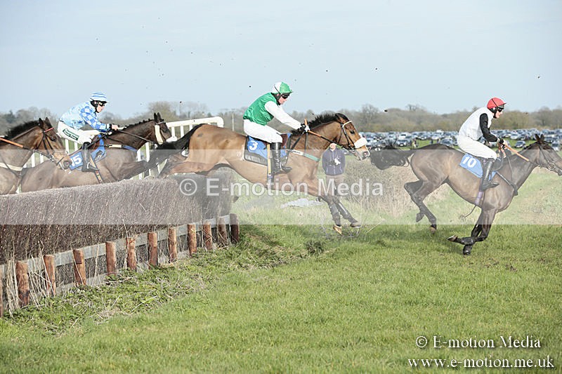 PtP 230319 482 - VWH Hunt Siddington Point-to-Point Racing 23/03/19