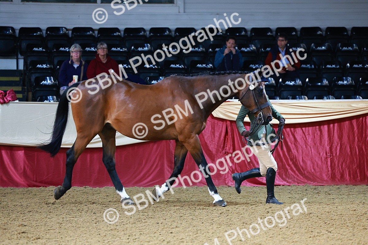 SBM_21706 - Class 901 - Supreme Final - IH  Diamond