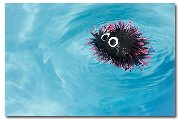 Pool Urchin - Objects