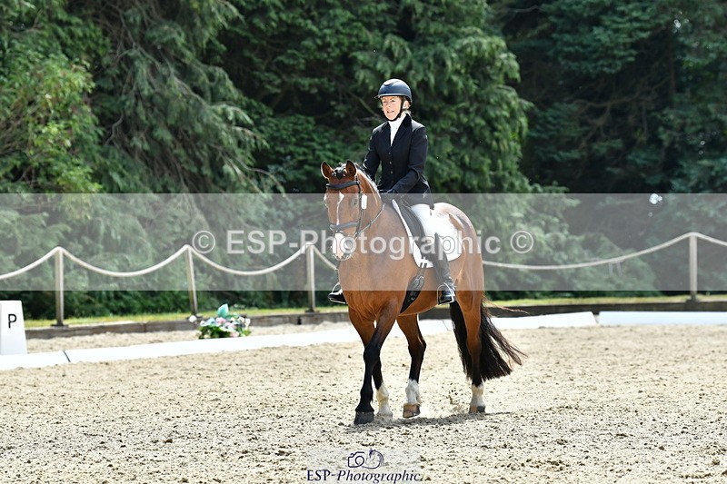 260801A-124121-04037 - Prelim Bronze Break - End