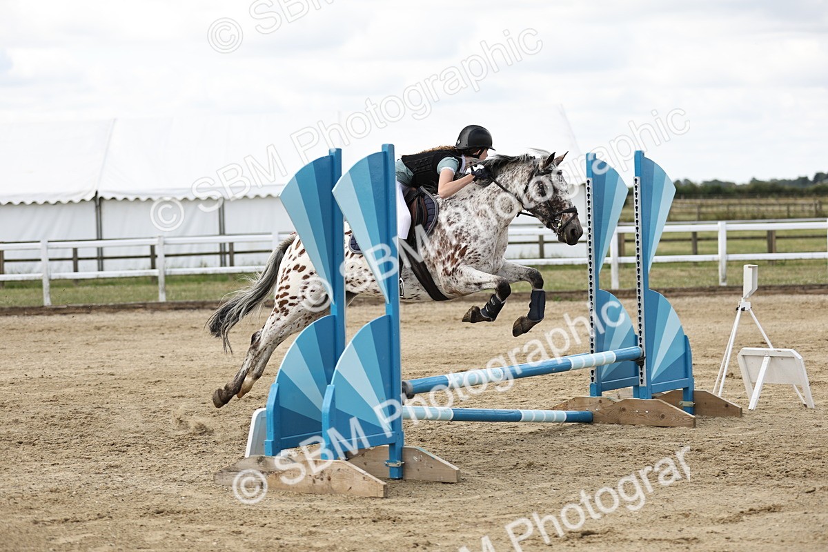 SBM_004140 - 60cm showjumping