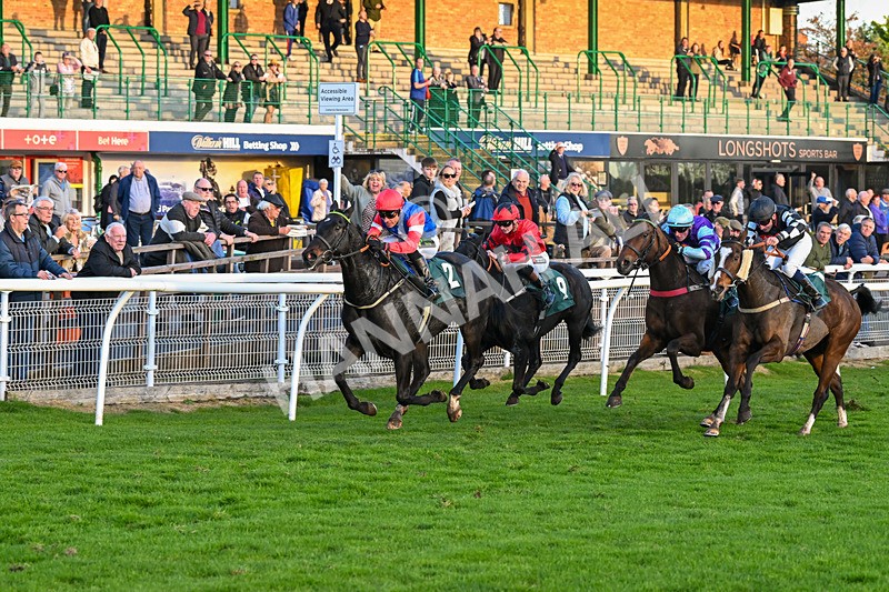 291024-Race 7-Crocodile Power-6482 - Race 7