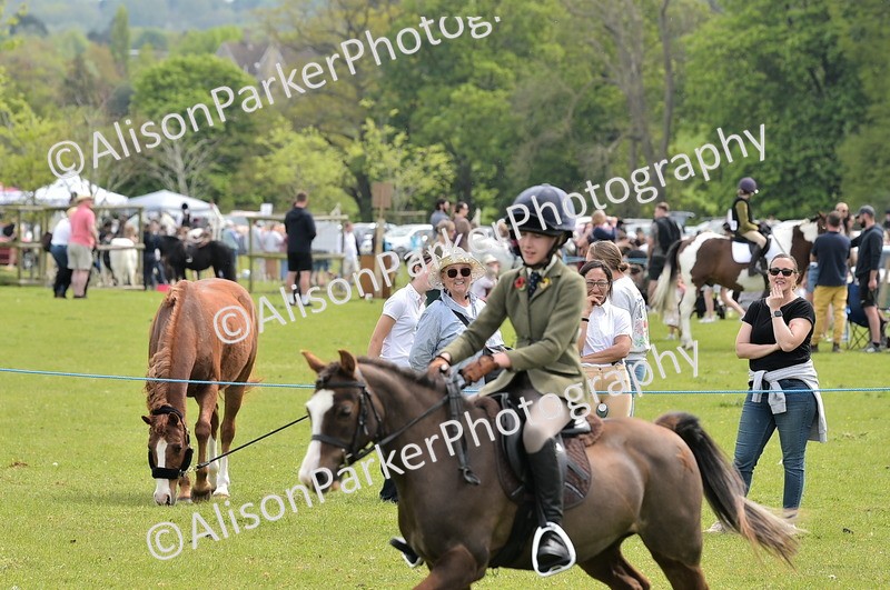 20260426-2443 - Class 21 - Working Hunter Ponies