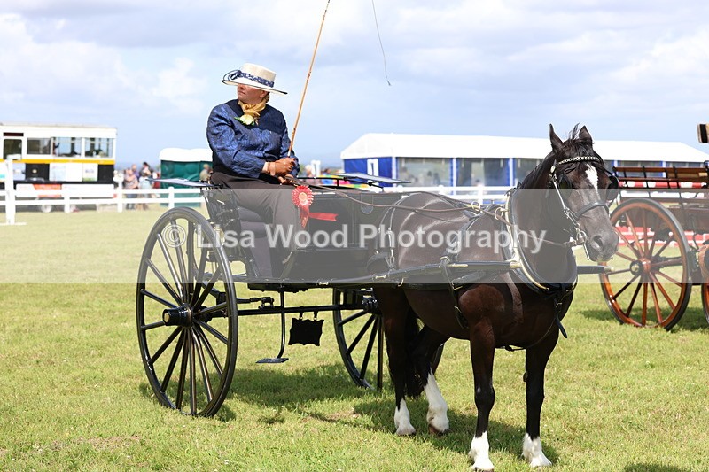 3E7A2809 - Class 12: Open Driving