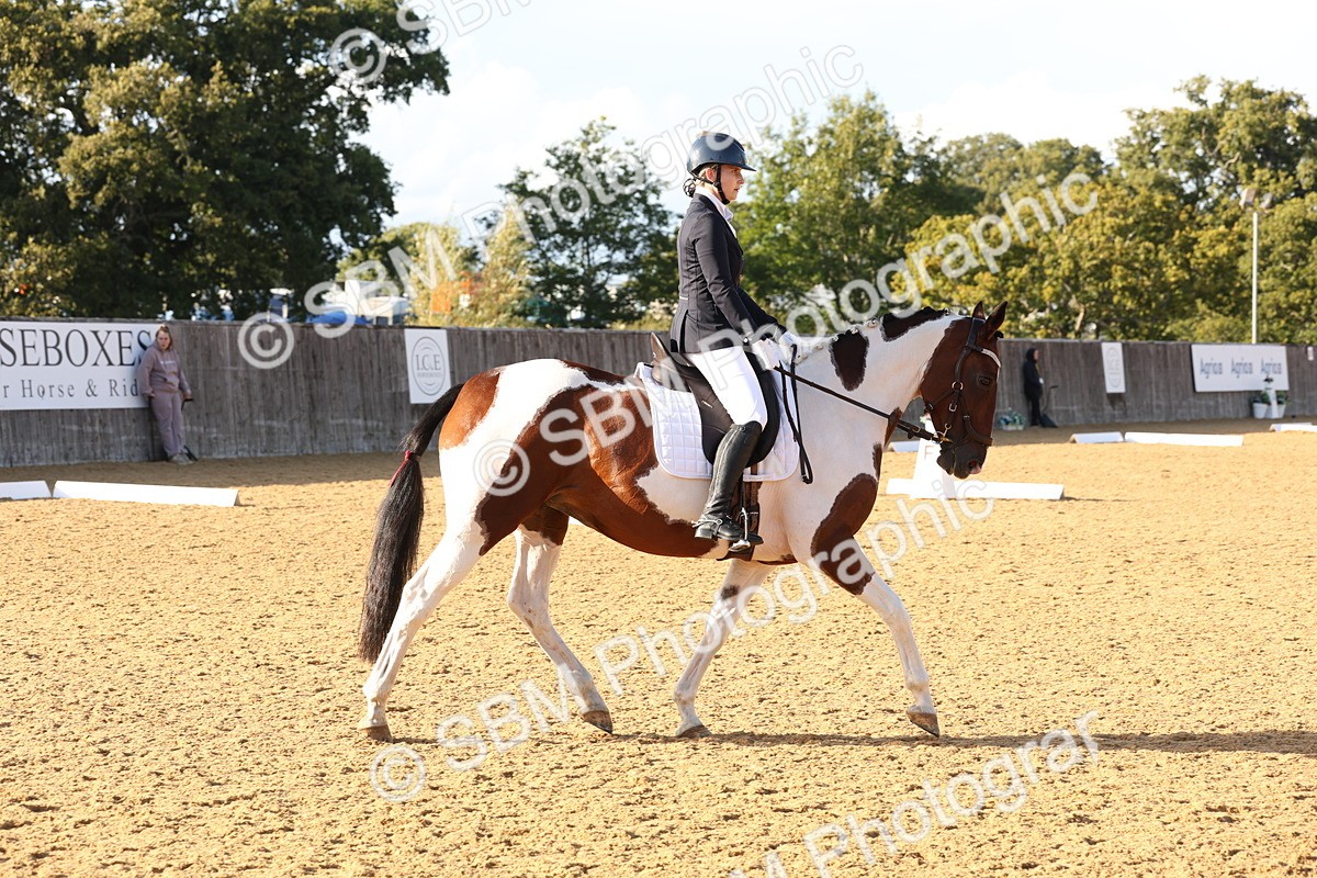 SBM_28244 - D20 - Grand Tour Championship Elementary 3
