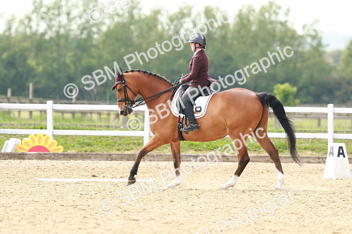 SBM_003006 - Class 13 - Medium 5