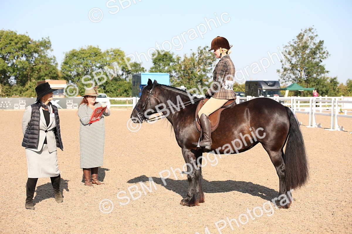 SBM_00727 - Class 14 Ridden M&M Wildcard