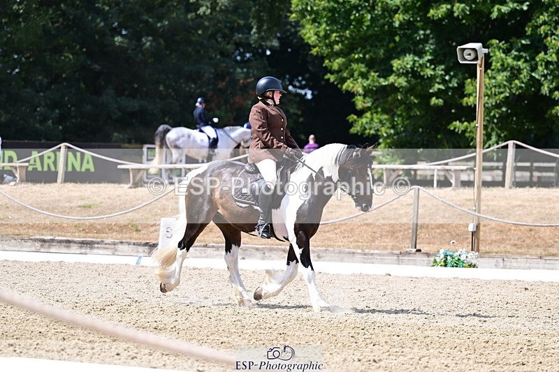 260802A-115004-06448 - Novice Bronze break - end