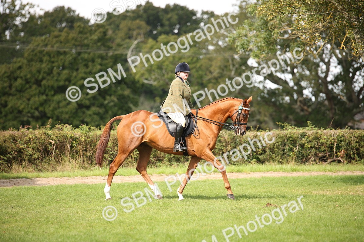 SBM_65904 - S64 - Riding Horse & Hack & Thoroughbred Ridden