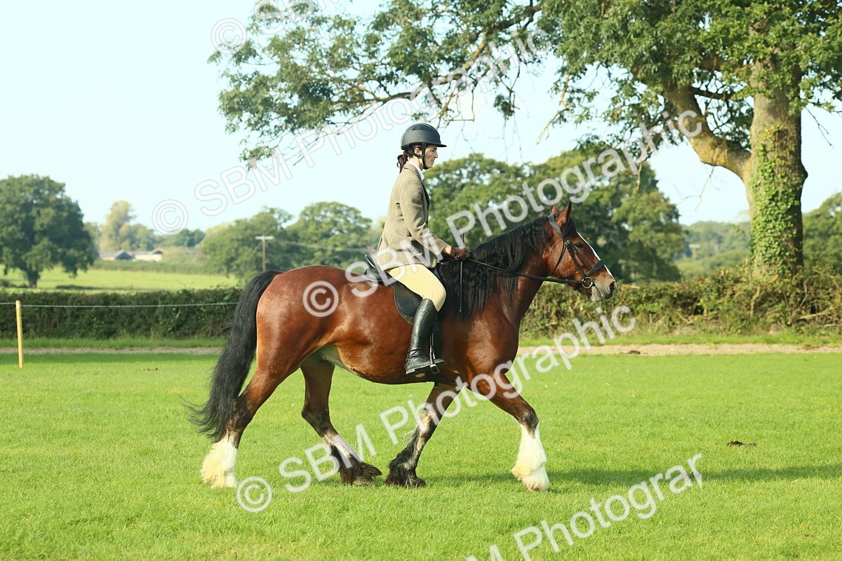 SBM_59825 - S38 - Starters Ridden Showing