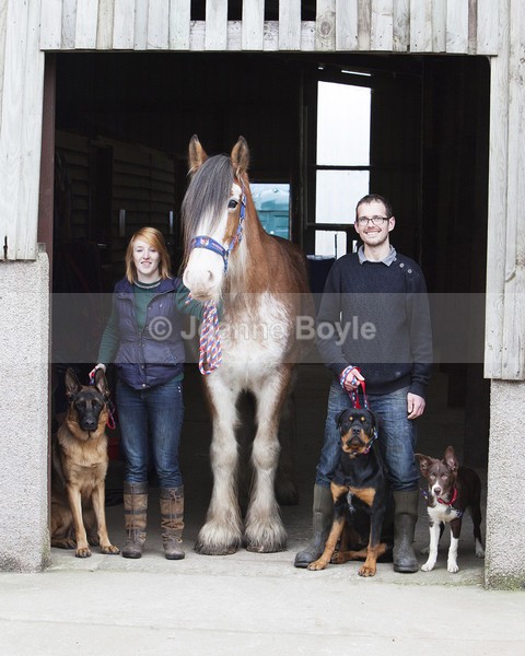 Equine Photo Shoot 1 - Equine Gallery Portfolio