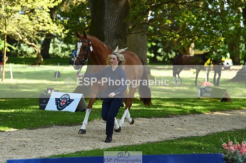 230524-154938-00525 - 378-CLASS_SPEC-Susie_Eddis-WEDTrotUp+DR