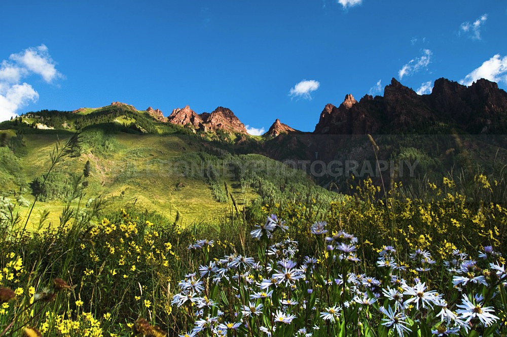 _DSC0930 - Colorado