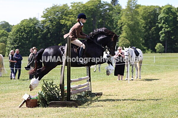 IMG_3689 - Working Hunter