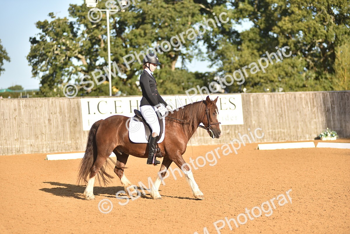 SBM_15700 - D4 - Small Tour Championship Intro 4