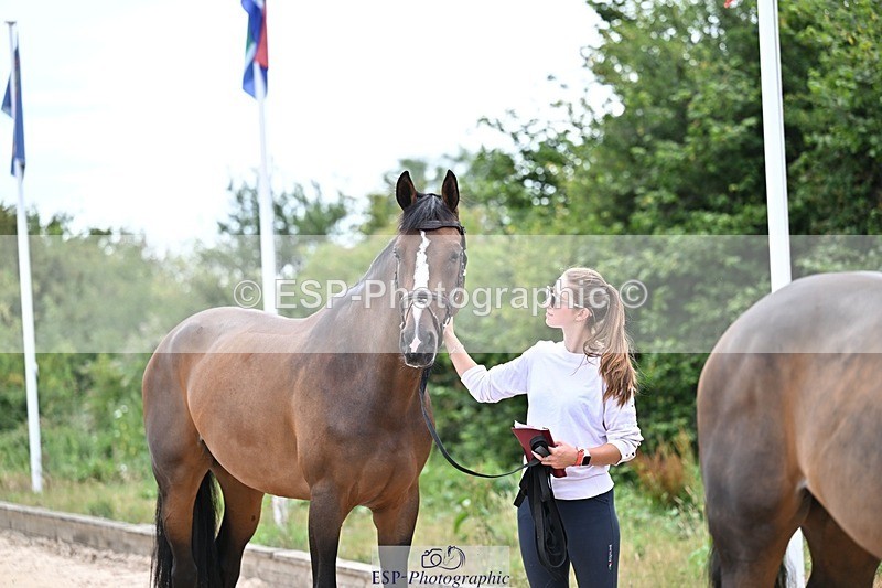 250716-135604-00709 - Trot Up 1.30 to 2.30