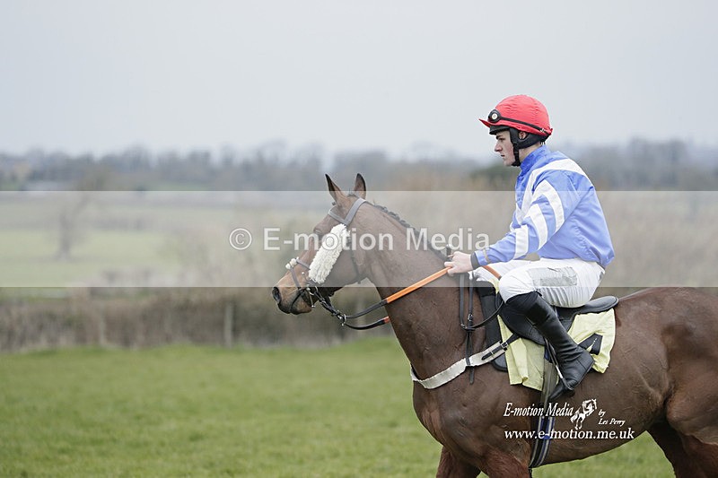 PtP 050323 381 - Blackmore & Sparkford Vale Hunt PtP - Somerset 05/03/23